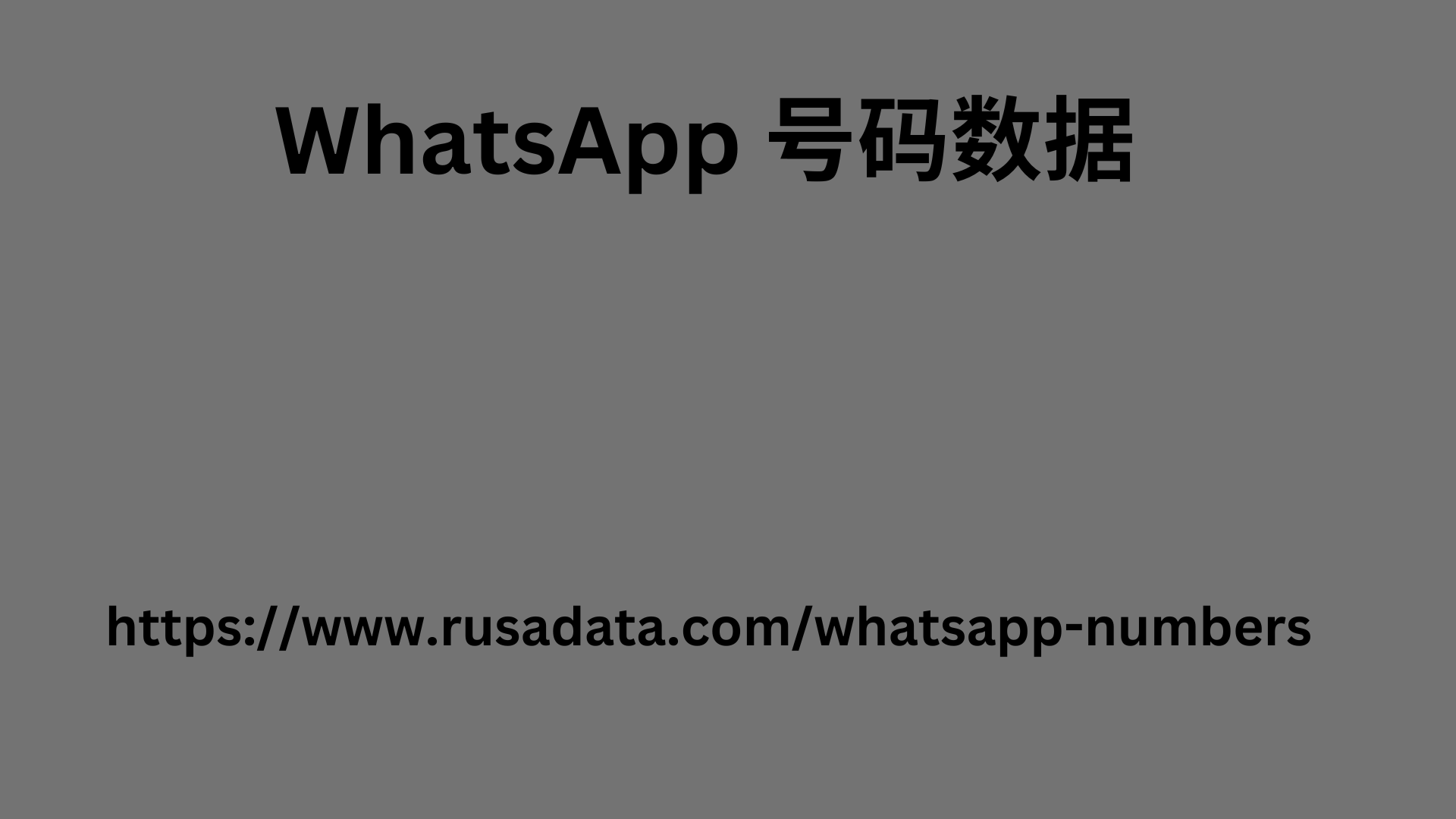 WhatsApp 号码数据